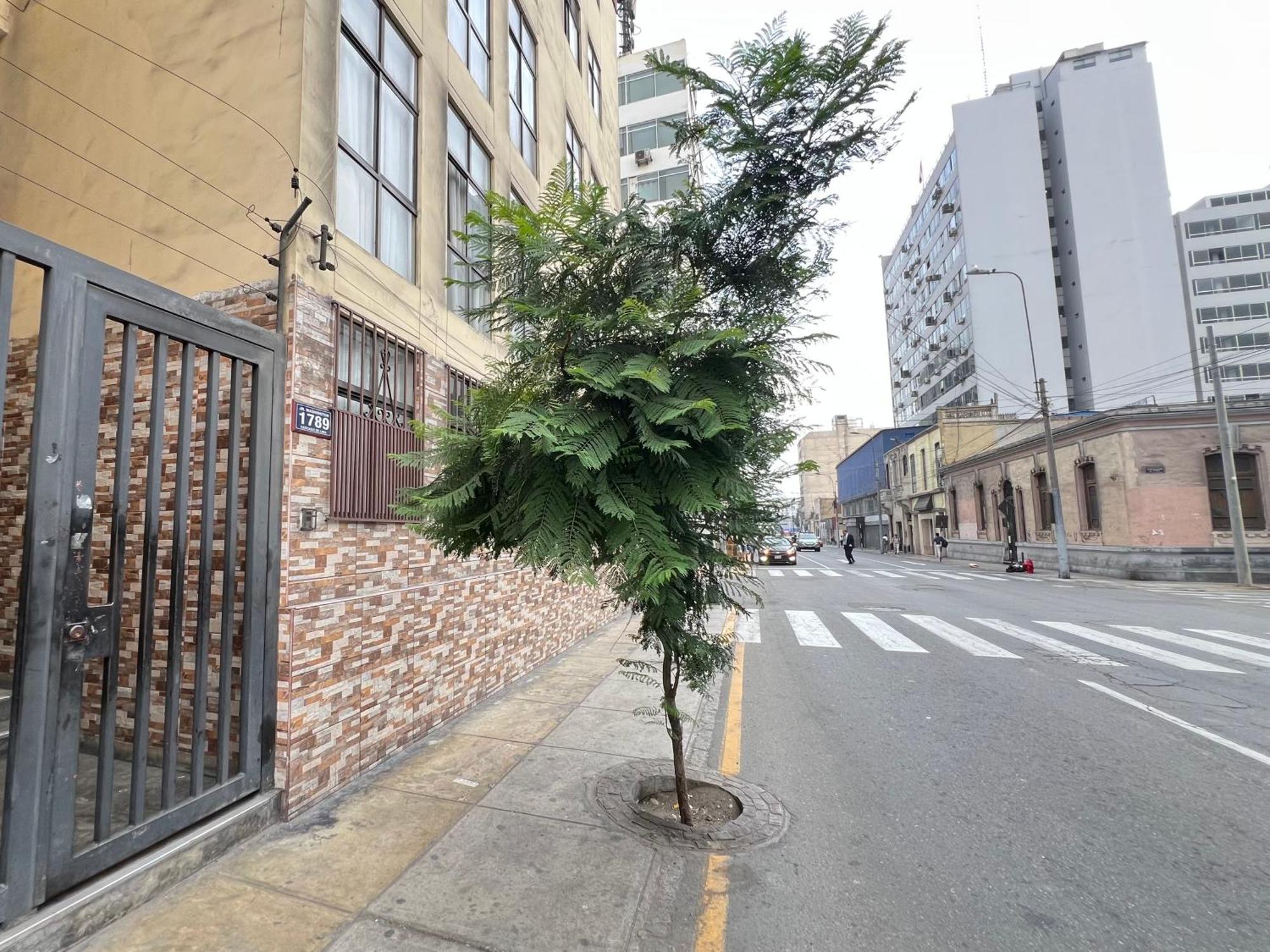 Downtown Lima Apt With May Promo Book & Save Big Экстерьер фото